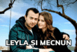 Leyla și Mecnun